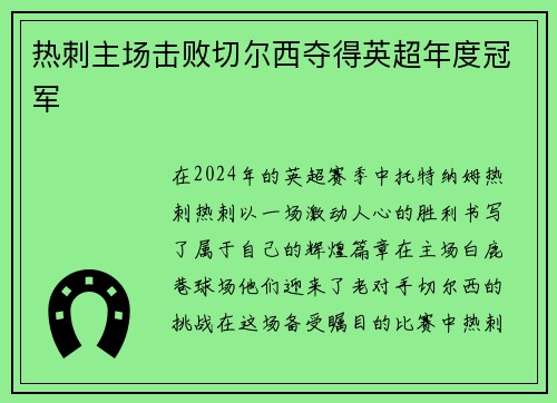 热刺主场击败切尔西夺得英超年度冠军